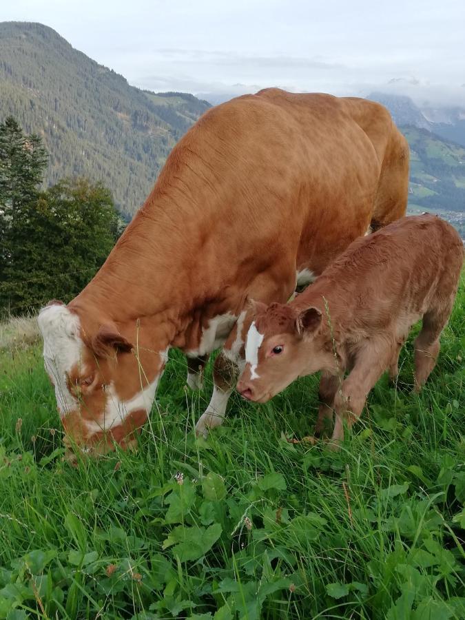 Hahnenkammblick Villa Kitzbühel Dış mekan fotoğraf