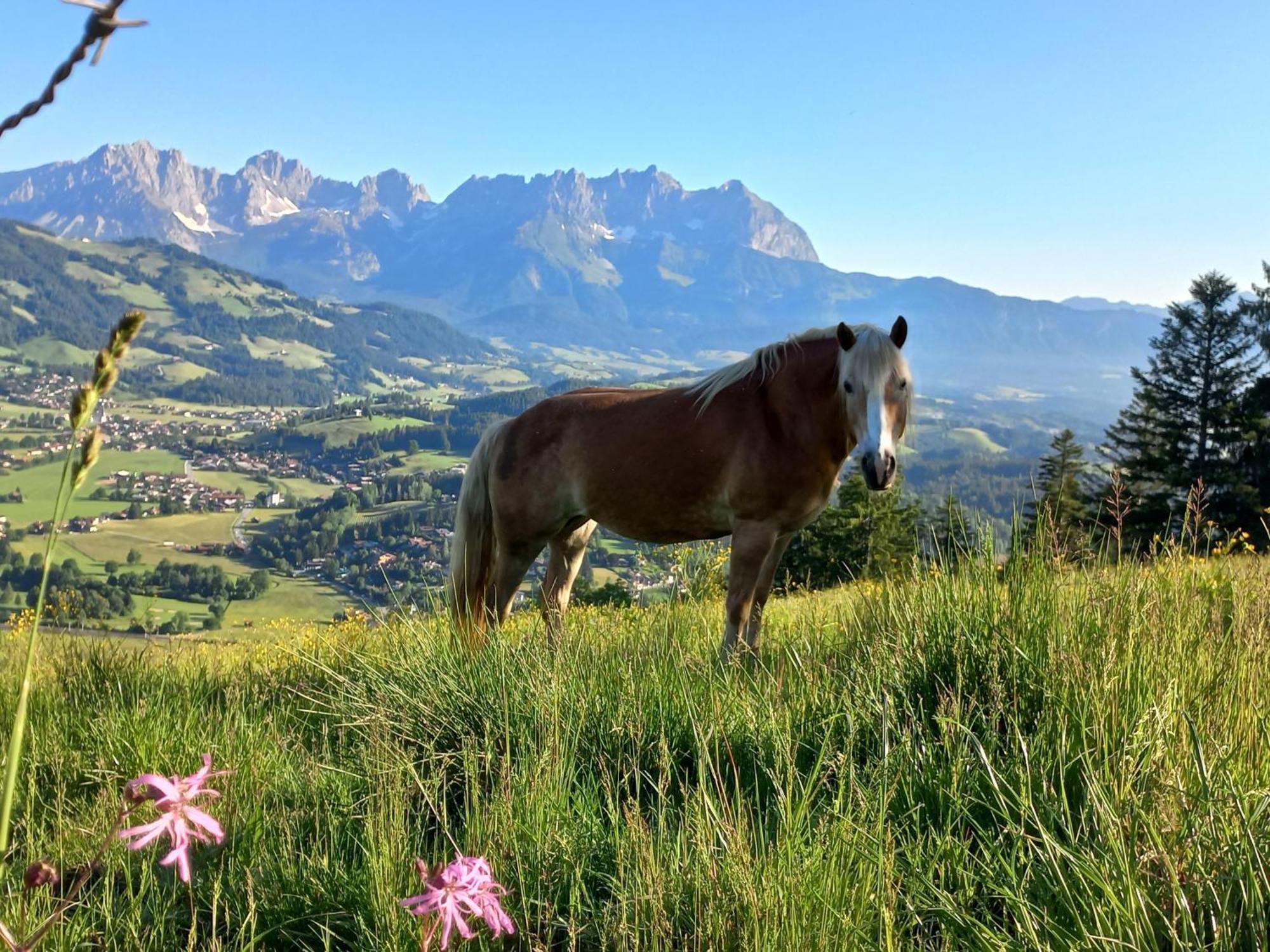 Hahnenkammblick Villa Kitzbühel Dış mekan fotoğraf