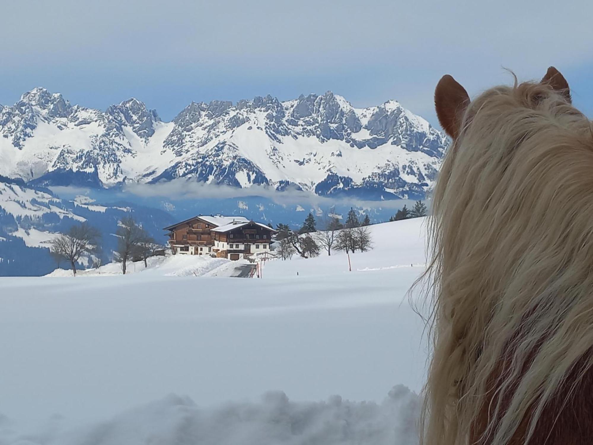 Hahnenkammblick Villa Kitzbühel Dış mekan fotoğraf
