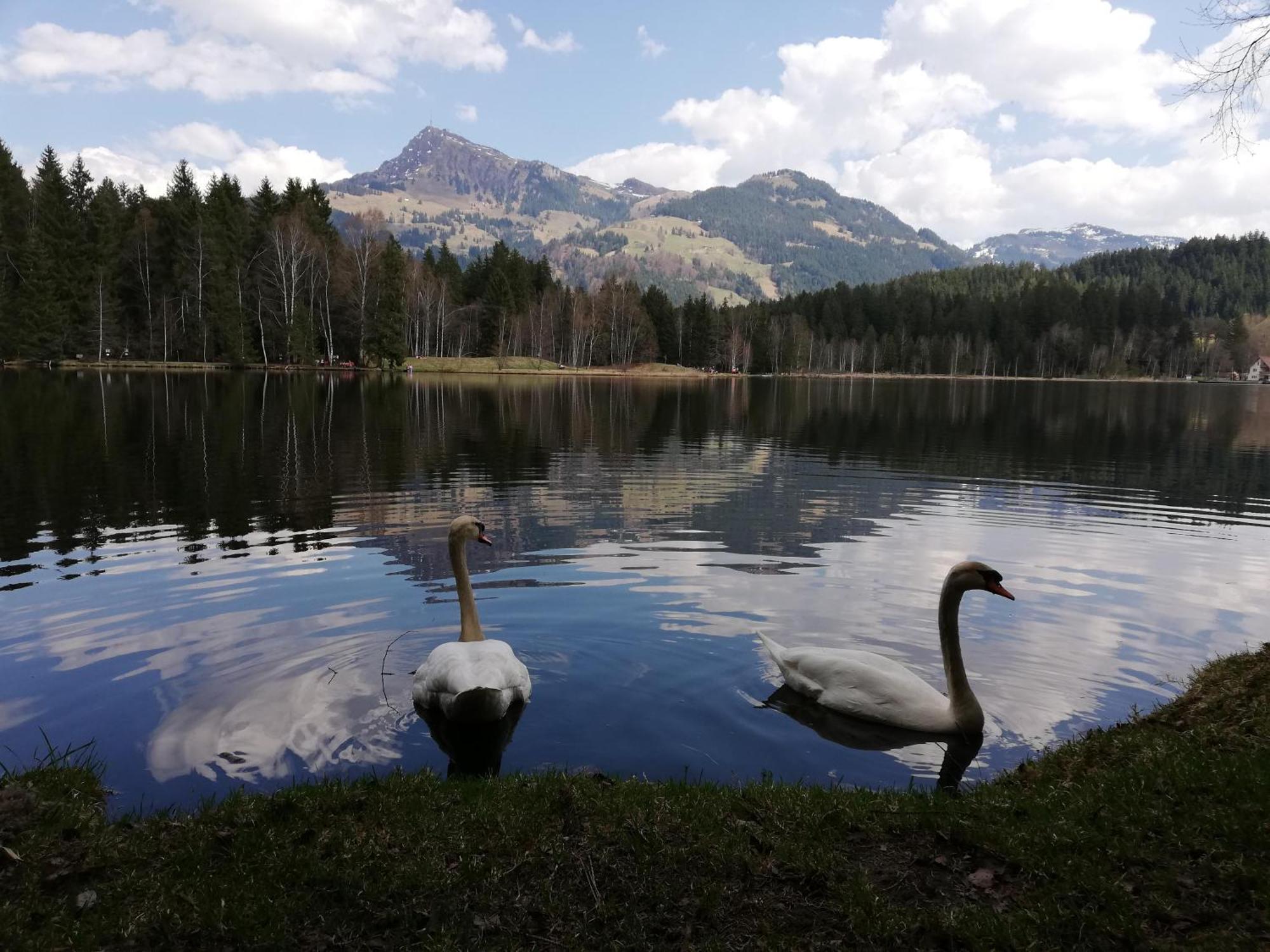 Hahnenkammblick Villa Kitzbühel Dış mekan fotoğraf