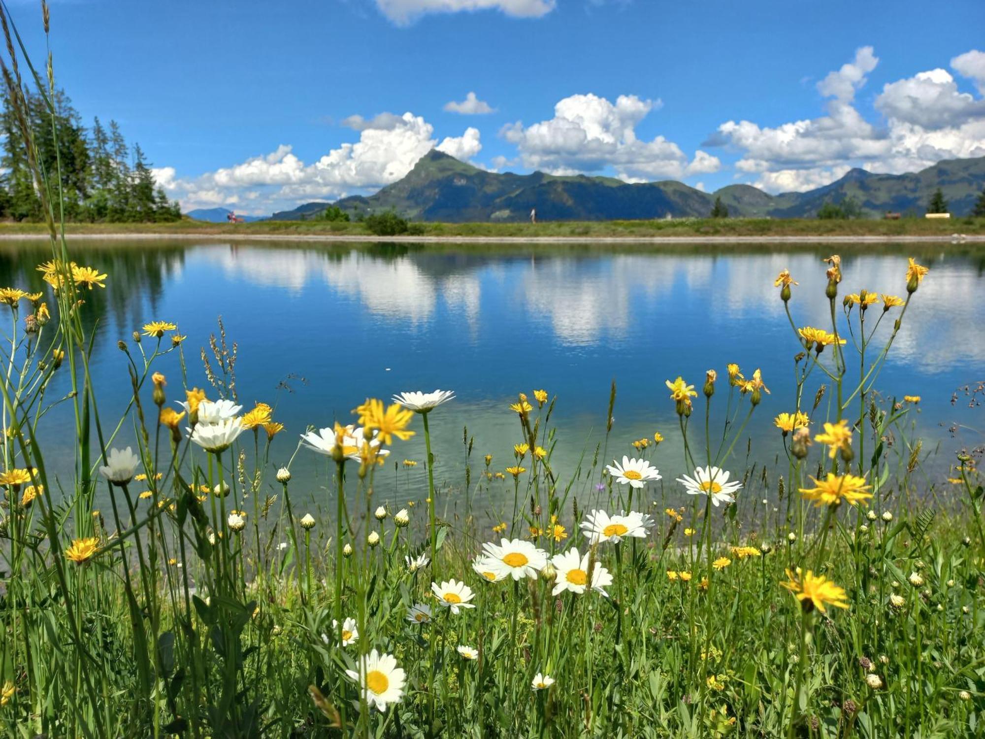 Hahnenkammblick Villa Kitzbühel Dış mekan fotoğraf