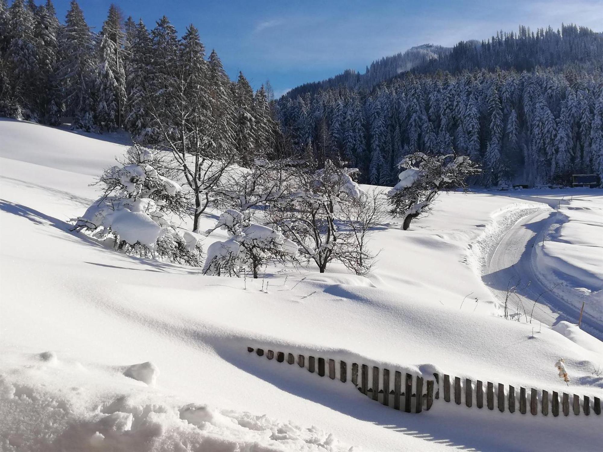 Hahnenkammblick Villa Kitzbühel Dış mekan fotoğraf